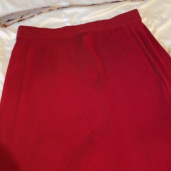 Red Pleated Maxi Skirt - Picture 7 of 9